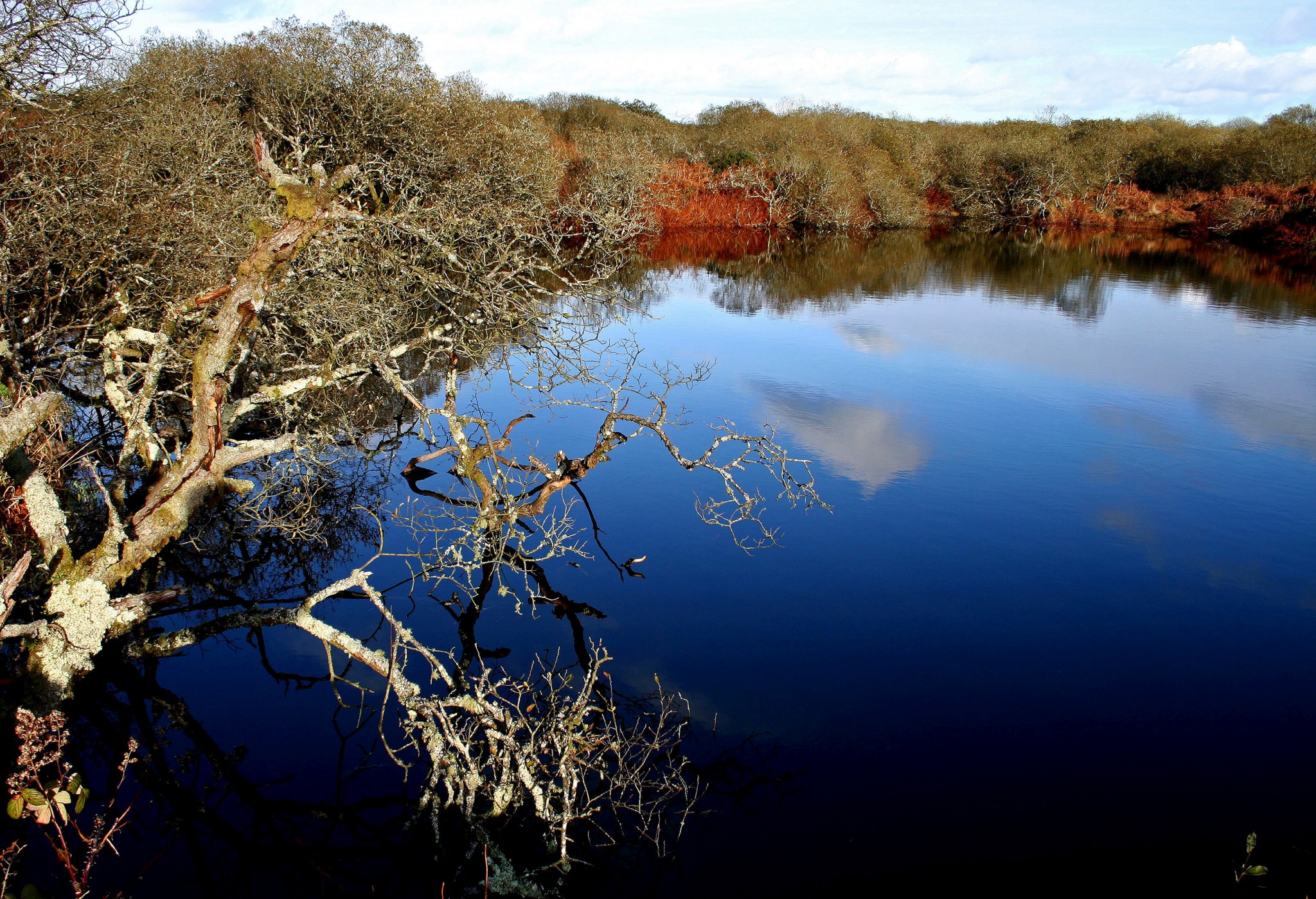 Porkellis Moor Pool